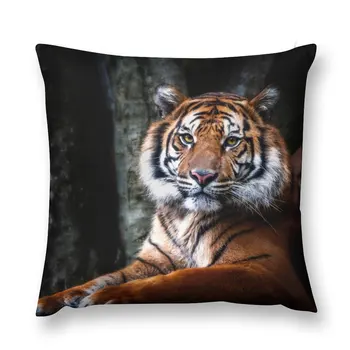 Възглавница с изображение на тигър, декоративна калъфка за възглавница, декоративни възглавници, луксозна калъфка