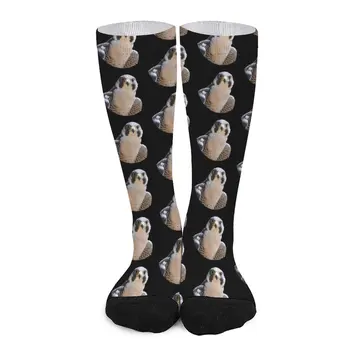Чорапи Peregrine falcon, мъжки чорапи, луксозни чорапи, мъжки футболни чорапи